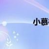 小慕橙（關于小慕橙簡介）