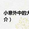 小意外中的大發明（關于小意外中的大發明簡介）