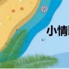 小情歌（關于小情歌簡介）