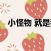 小怪物 就是我（關于小怪物 就是我簡介）