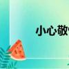 小心敬慎（關于小心敬慎簡介）