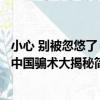 小心 別被忽悠了：中國騙術大揭秘（關于小心 別被忽悠了：中國騙術大揭秘簡介）