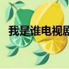 我是誰電視劇（關于我是誰電視劇的簡介）