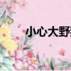 小心大野狼（關于小心大野狼簡介）