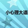 小心理大道理（關于小心理大道理簡介）