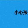 小心孩子（關于小心孩子簡介）