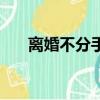 離婚不分手（關于離婚不分手的簡介）