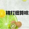 精打細算啥意思（精打細算是什么意思）