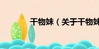 干物妹(關于干物妹的簡介)