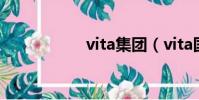 vita集團(vita國際)