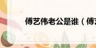 傅藝偉老公是誰(傅藝偉老公)