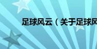 足球風云(關于足球風云的簡介)