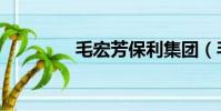 毛宏芳保利集團(毛宏芳)