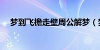 夢到飛檐走壁周公解夢(夢到飛檐走壁)
