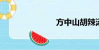 方中山胡辣湯