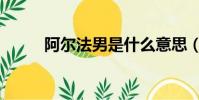 阿爾法男是什么意思(阿爾法男)