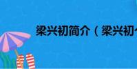 梁興初簡介(梁興初個人簡歷)