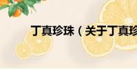 丁真珍珠(關于丁真珍珠的簡介)