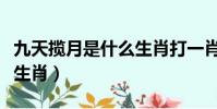 九天攬月是什么生肖打一肖(九天攬月是什么生肖)