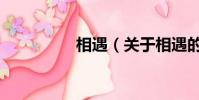 相遇(關于相遇的簡介)