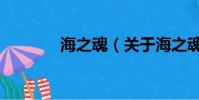 海之魂(關于海之魂的簡介)