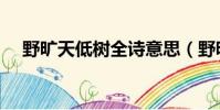 野曠天低樹全詩意思(野曠天低樹全詩)