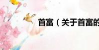 首富(關于首富的簡介)