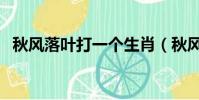 秋風落葉打一個生肖(秋風落葉打一生肖)