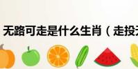 無路可走是什么生肖(走投無路是什么生肖)