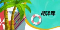 胡澤軍