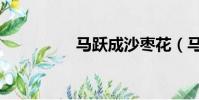 馬躍成沙棗花(馬躍成)