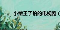 小薰王子拍的電視劇(小薰王子)