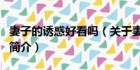 妻子的誘惑好看嗎(關于妻子的誘惑好看嗎的簡介)