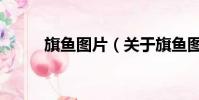 旗魚圖片(關于旗魚圖片的簡介)