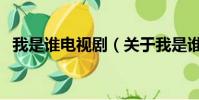 我是誰電視劇(關于我是誰電視劇的簡介)