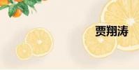 賈翔濤