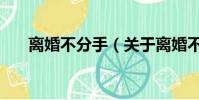 離婚不分手(關于離婚不分手的簡介)
