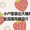 小戶型裝出大格局工業混搭風格（關于小戶型裝出大格局工業混搭風格簡介）