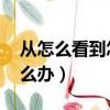 從怎么看到怎么辦 歷史地看（從怎么看到怎么辦）