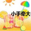小手牽大手（關于小手牽大手簡介）