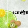 scm格式視頻播放器（scm格式）