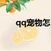 qq寵物怎么取消（如何取消qq寵物）