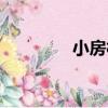 小房村（關于小房村簡介）