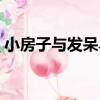 小房子與發呆鳥（關于小房子與發呆鳥簡介）