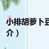 小排胡蘿卜豆腐湯（關于小排胡蘿卜豆腐湯簡介）