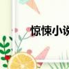驚悚小說（關于驚悚小說的簡介）