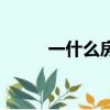 一什么房子對不對（一什么房子）