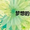 夢想的光芒作文（夢想的光芒）