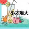 小才難大用（關于小才難大用簡介）
