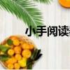 小手閱讀器（關于小手閱讀器簡介）